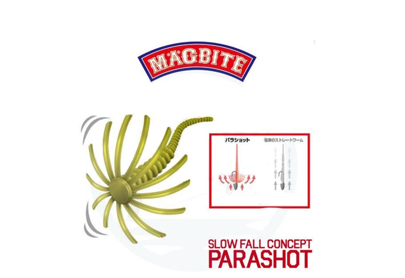 Magbite Parashot